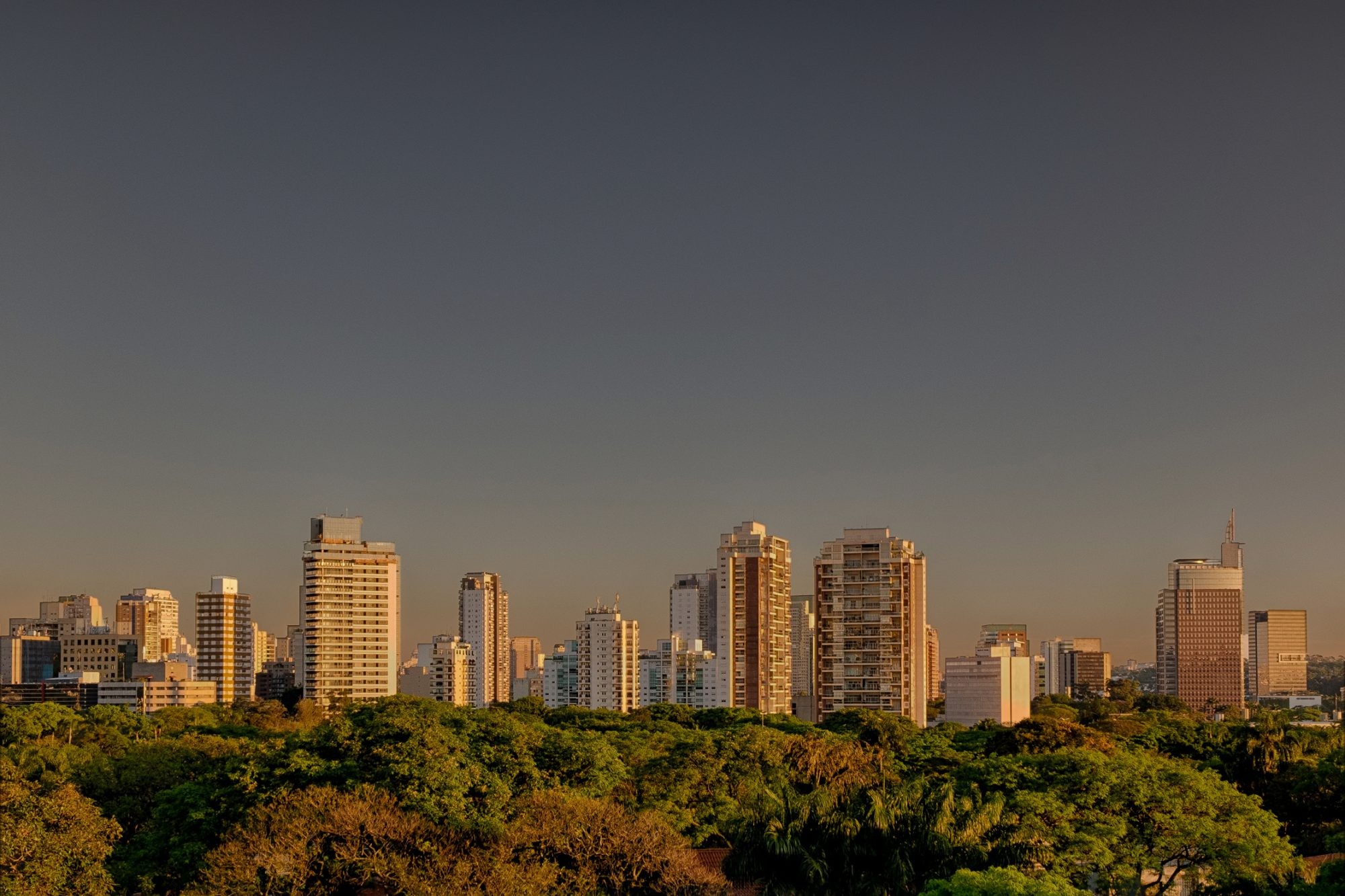 Cia.City
