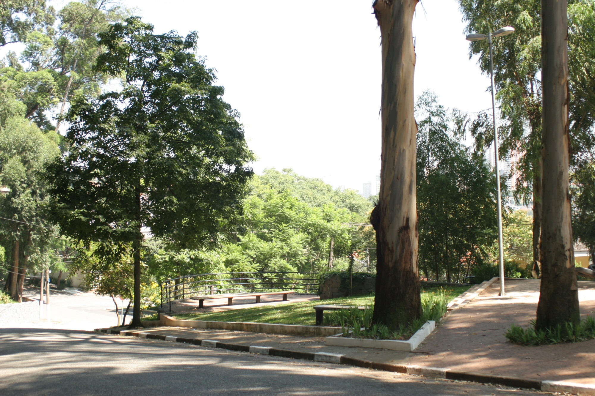 Cia.City